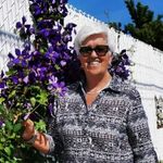 Diane Lapointe - @diane.lapointe.3998 - Instagram