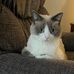 Diane Larose - Facebook