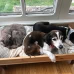 Diane Lauer - Facebook
