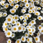 Diane Libby - @sunmom58 - Instagram