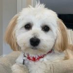 Diane Lieberman - @dlieberman1018 - Instagram