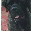 dianalininger56 - @dianalininger56 - TikTok