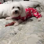 Diane Lofton - @loftondiane1 - Instagram
