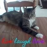 Diane Lovell - @lovell198 - Instagram