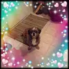 Diane Low - @diane.low0 - TikTok