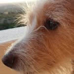 Diane Lowe - @diane.lowe.96 - Instagram