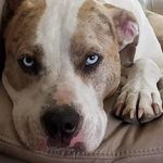 Diane Lowery - @dianelowery65 - Instagram