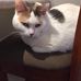 Diane Lowery - Facebook