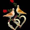 Diane Luo727 - @dianeluo727 - TikTok