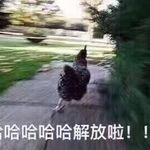 罗伟盛 - @dianeluows597 - Instagram