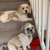 Diane Lyon - Facebook