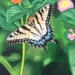 Diane Lyons - Facebook