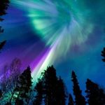 Diane lyons - @dianelyons680 - Instagram