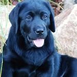 Diane Lyons - @diane.lyons.75 - Instagram