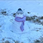 Diane Lyons - @jollyat65 - Instagram