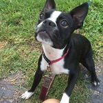 Diane Lyons - @diane.lyons.5243 - Instagram
