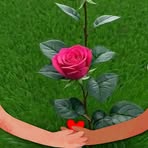 Diane Lyons - Facebook