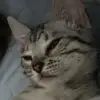 Diane Lyons - @diane.lyons81 - TikTok