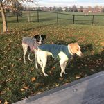 Diane MacDonald - @diane.macdonald.3511 - Instagram