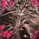 Diane MacDonald - @323phoebe - Instagram