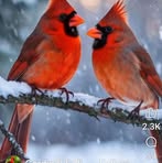 Diane MacDonald - Facebook