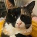 Diane Mackenzie - Facebook