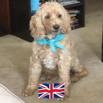 Diane Patch - @diane_mackenzie - Instagram
