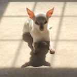 Diane Mackey - @dmpm3 - Instagram