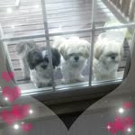 Diane Mckendrick Mackey - @mckendrickmackey - Instagram