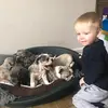 ceryshillxoxo - @dianemajor - TikTok