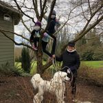 Diane Major - @dianemajorarts - Instagram