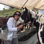 Diane Shea Maliszewski - @10usdog - Instagram