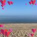 Diane Marek - Facebook