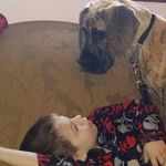 Diane Troje Marek - @dianemarek - Instagram