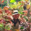 Diane Mark - @dianemark1 - TikTok