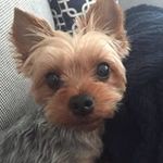 Diane Markham - @dzmarkham - Instagram