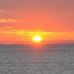 Dianne Markham - Facebook