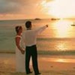 Diane Marklevitz - @dianemarklevitz - Instagram