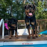 Diane Mathes - @dianemathes - Instagram