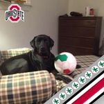 Diane Mather - @dmmather1 - Instagram