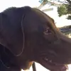 Diane Pere Matherne - @diane.pere.mather - TikTok