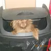 dianematern - @dianematern - TikTok