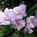 Diane Mattison - Facebook
