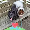 dianemaxwellshroc - @dianemaxwellshroc - TikTok