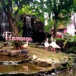 Diane - @diane_mayang - Instagram