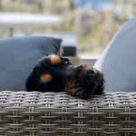 Diane Been-Mayer - @diane_mayer_been - Instagram