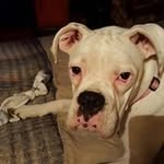 Diane McCall - @coolingmckay - Instagram