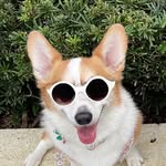 Diane Mccann - @mcdiane - Instagram