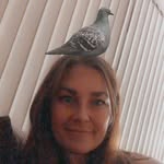 Diane McCann - @dianimal17 - Instagram