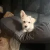 Diane McCann - @diane.mccann - TikTok